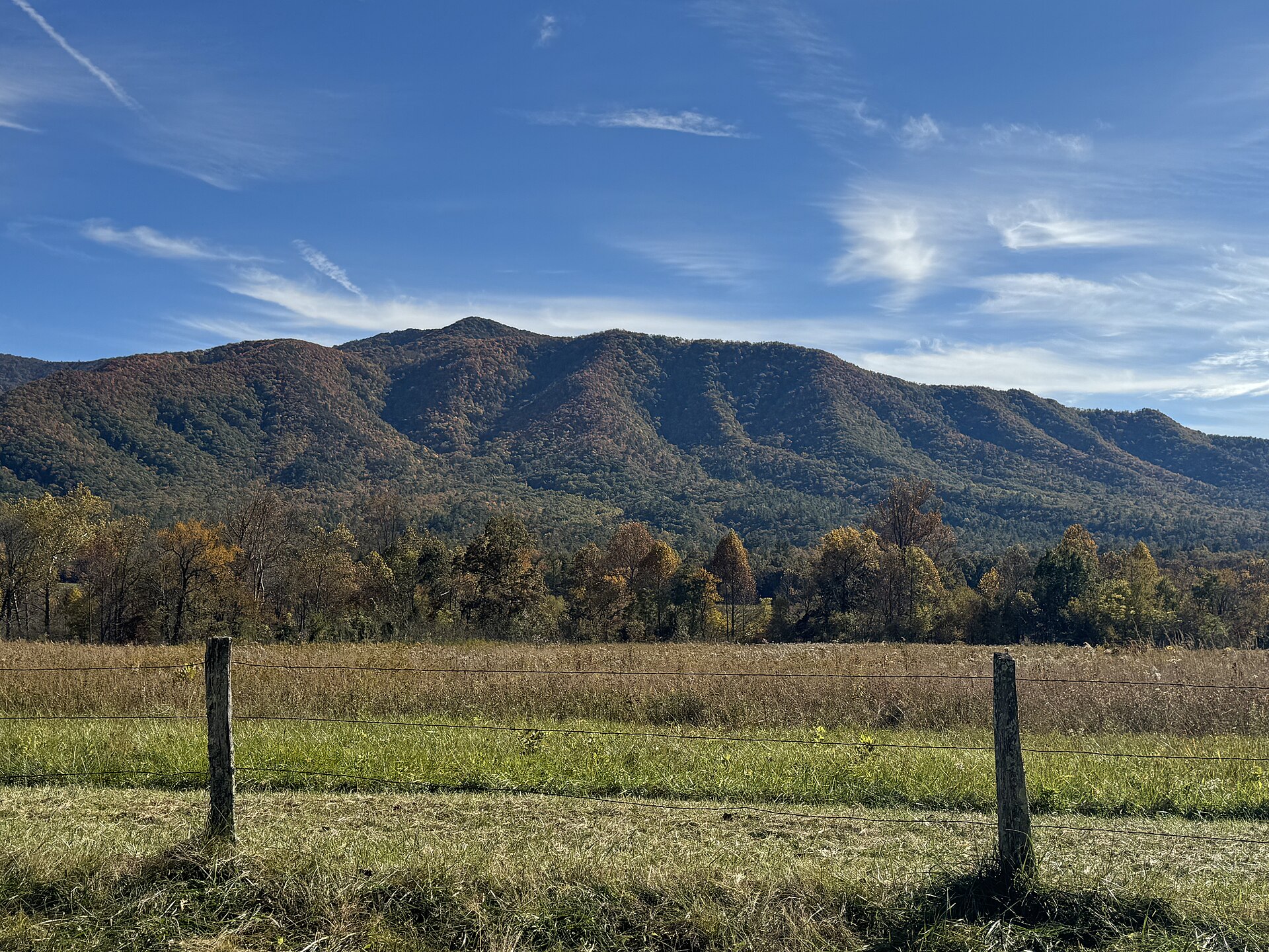 Bear's Rest — sample cabin listing at Smoky Mountain Ridge