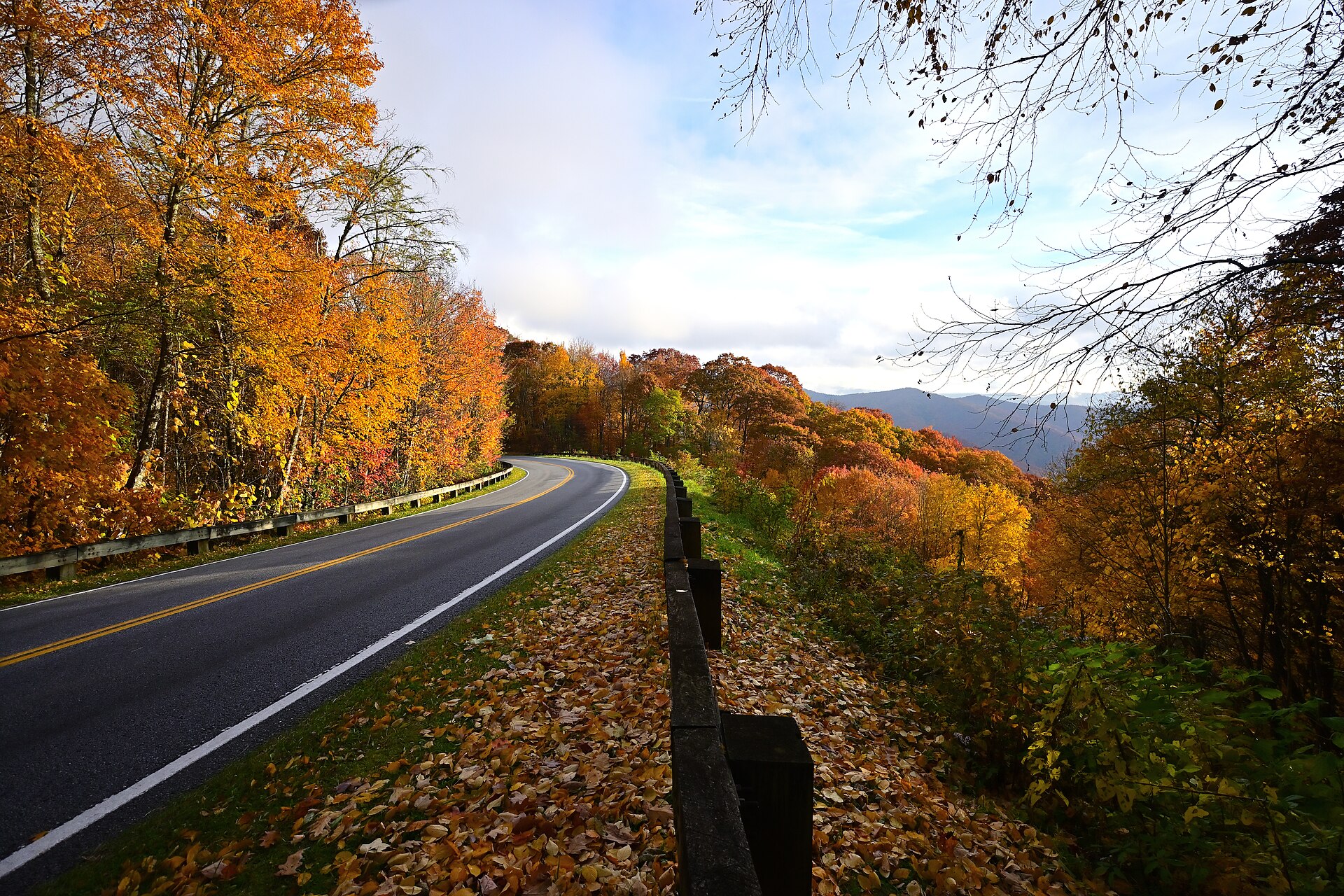 Autumn colors along a road in the Great Smoky Mountains