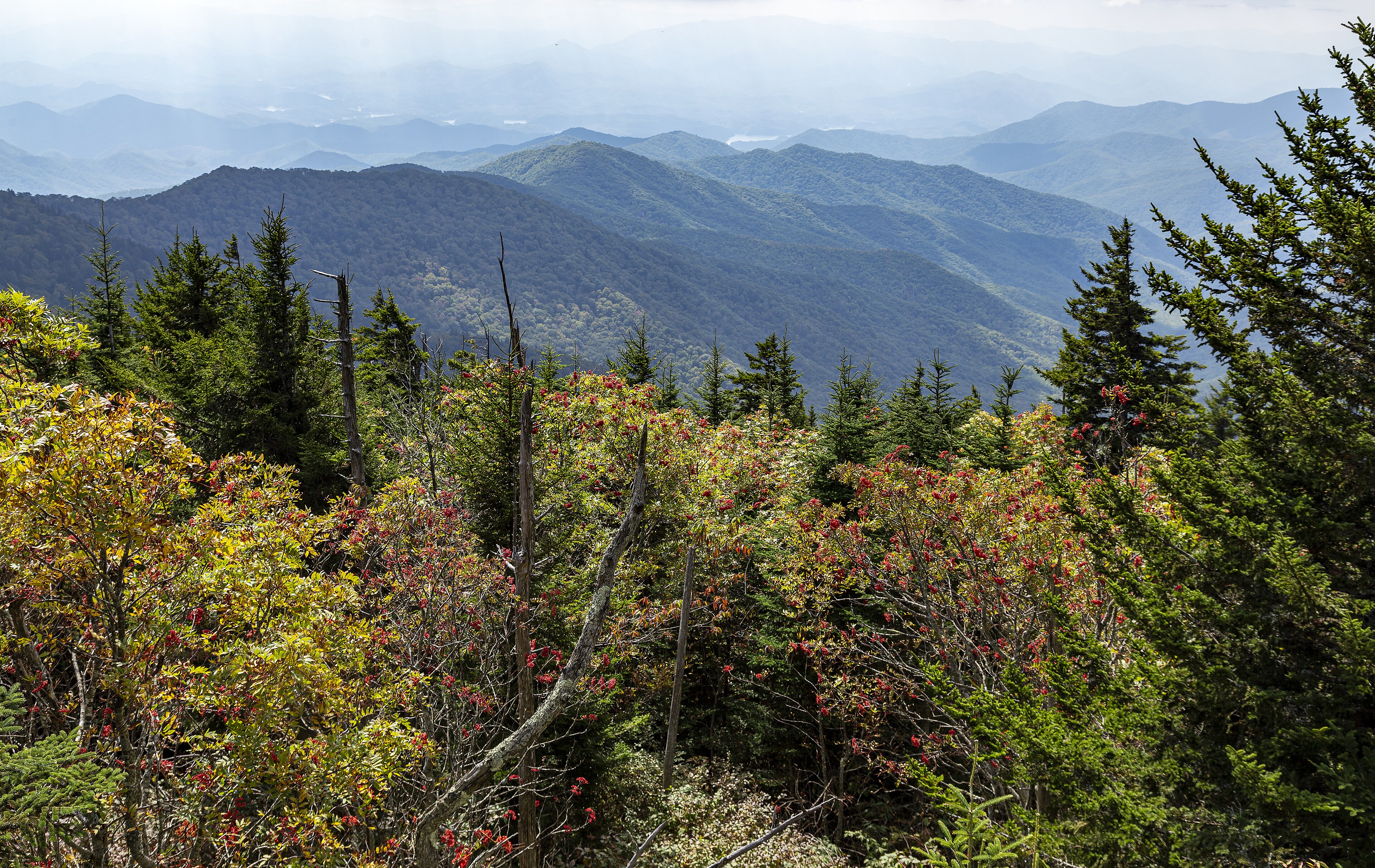 Ridge after ridge of the Great Smoky Mountains seen from Clingmans Dome